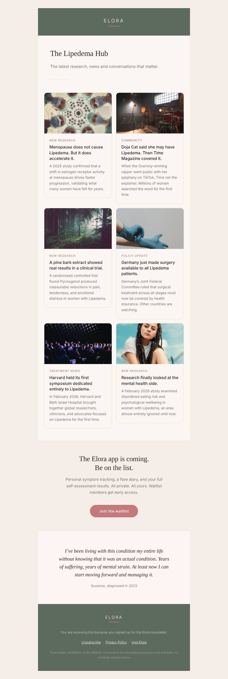 The Lipedema Hub newsletter, designed and ready to launch